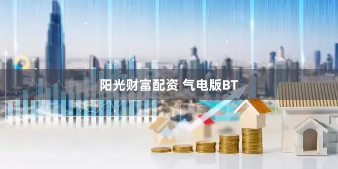阳光财富配资 气电版BT